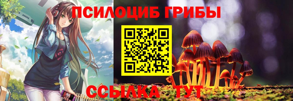 Галлюциногенные грибы ЛСД Кировск